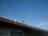 Sandy up on the roof getting ready to string Christmas lights.  Sandy would put up the lights by herself, replace the bulbs when the wind whipped them out, and take them down.  She loved the lights, hated the cold.