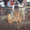 Flat Rock Arena<br>Chouteau, OK<br>June 22, 2002