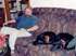 Andrew, Shadow, and Alley<br>