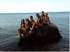 This was taken a few hours before Olivia became ill. She is in Maine on "Mermaid Rock" with Julia, Rosser, Emma and her cousin, Rachel.