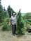 7ft tomato plant